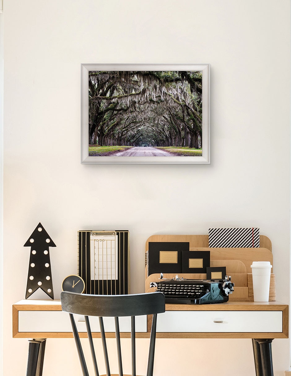 Cuadro decorativo Callejón Wormsloe de Andy Crawford técnica mixta 5