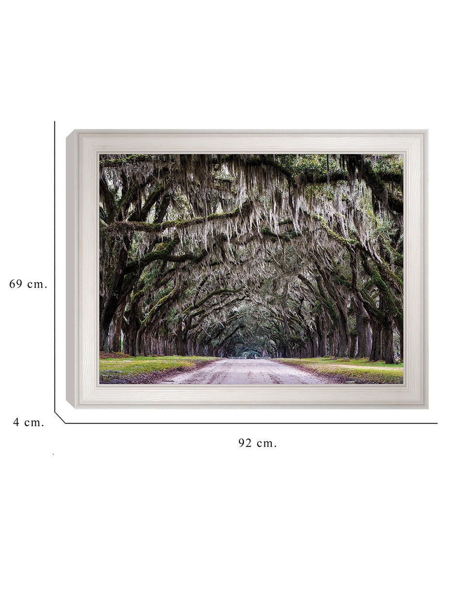 Cuadro decorativo Callejón Wormsloe de Andy Crawford técnica mixta 6