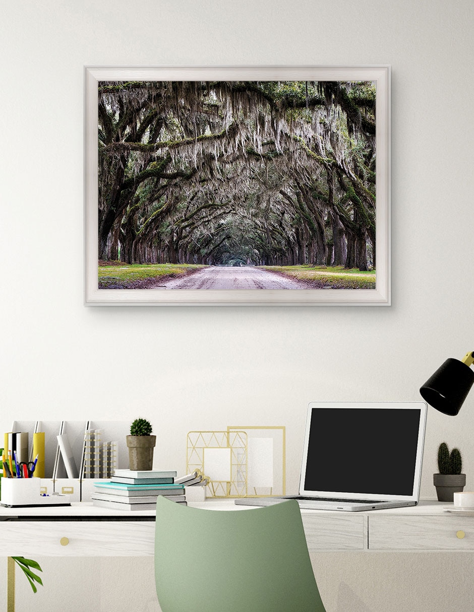 Cuadro decorativo Callejón Wormsloe de Andy Crawford técnica mixta 3