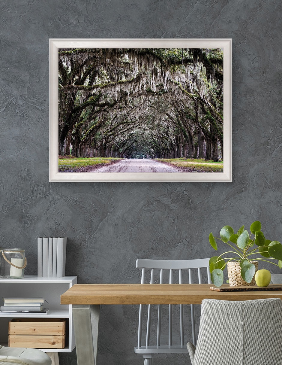 Cuadro decorativo Callejón Wormsloe de Andy Crawford técnica mixta 4