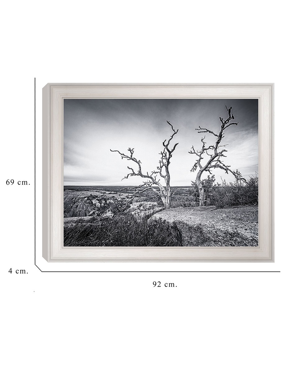 Cuadro decorativo Vista encantada de Andy Crawford técnica mixta 6
