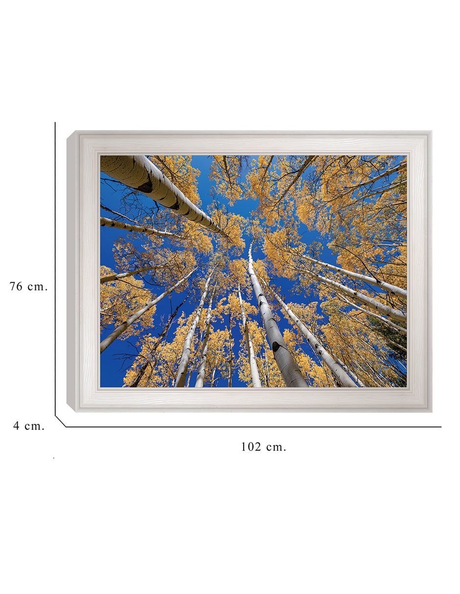Cuadro decorativo Bosque blanco de álamos de Andy Crawford técnica mixta 2