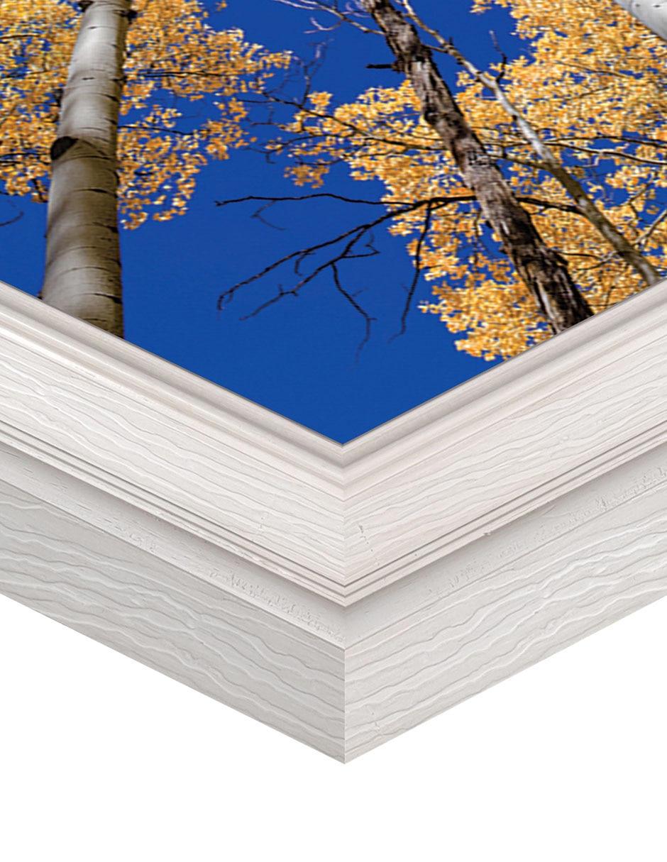 Cuadro decorativo Bosque blanco de álamos de Andy Crawford técnica mixta 6