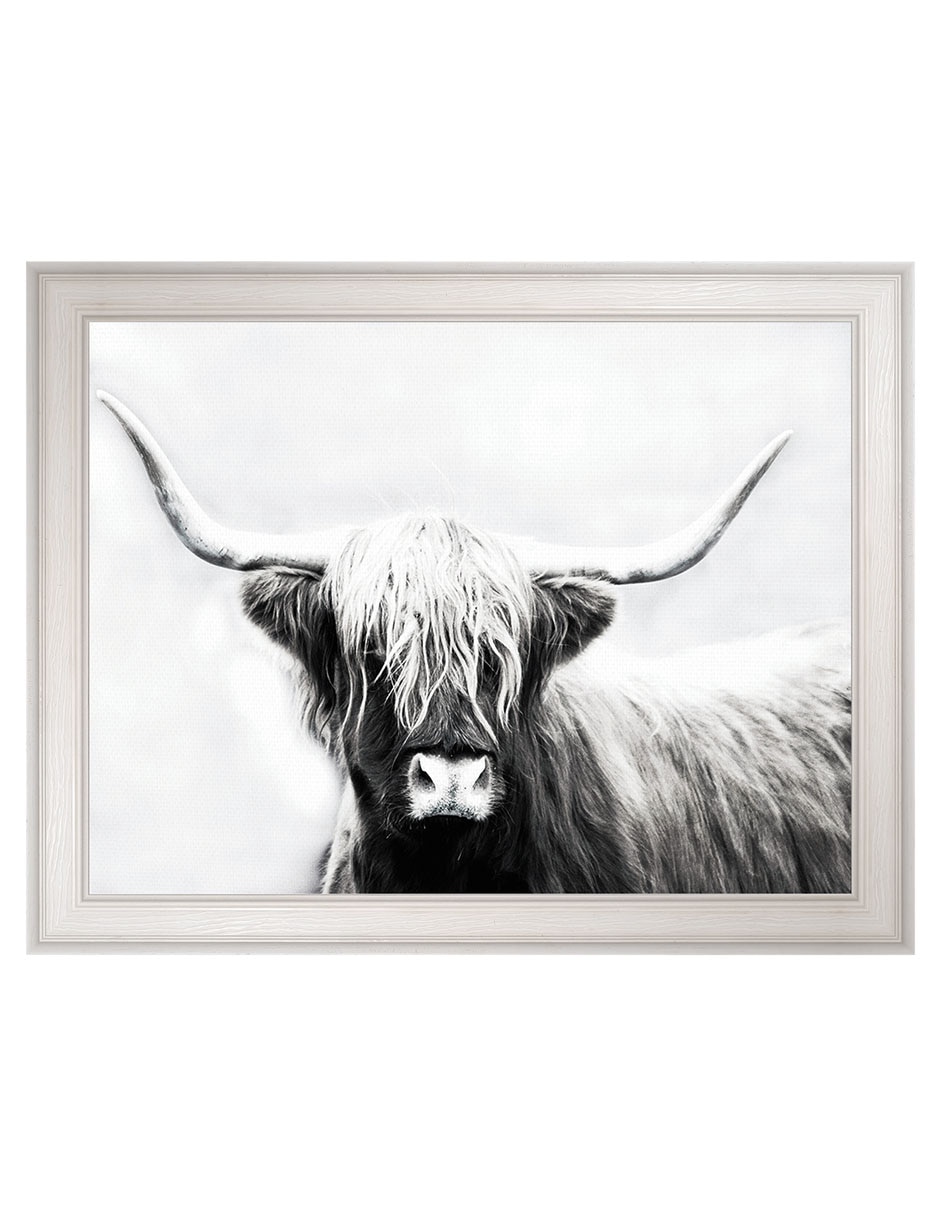 Cuadro decorativo Longhorn de las tierras altas de Danita Delimont técnica mixta