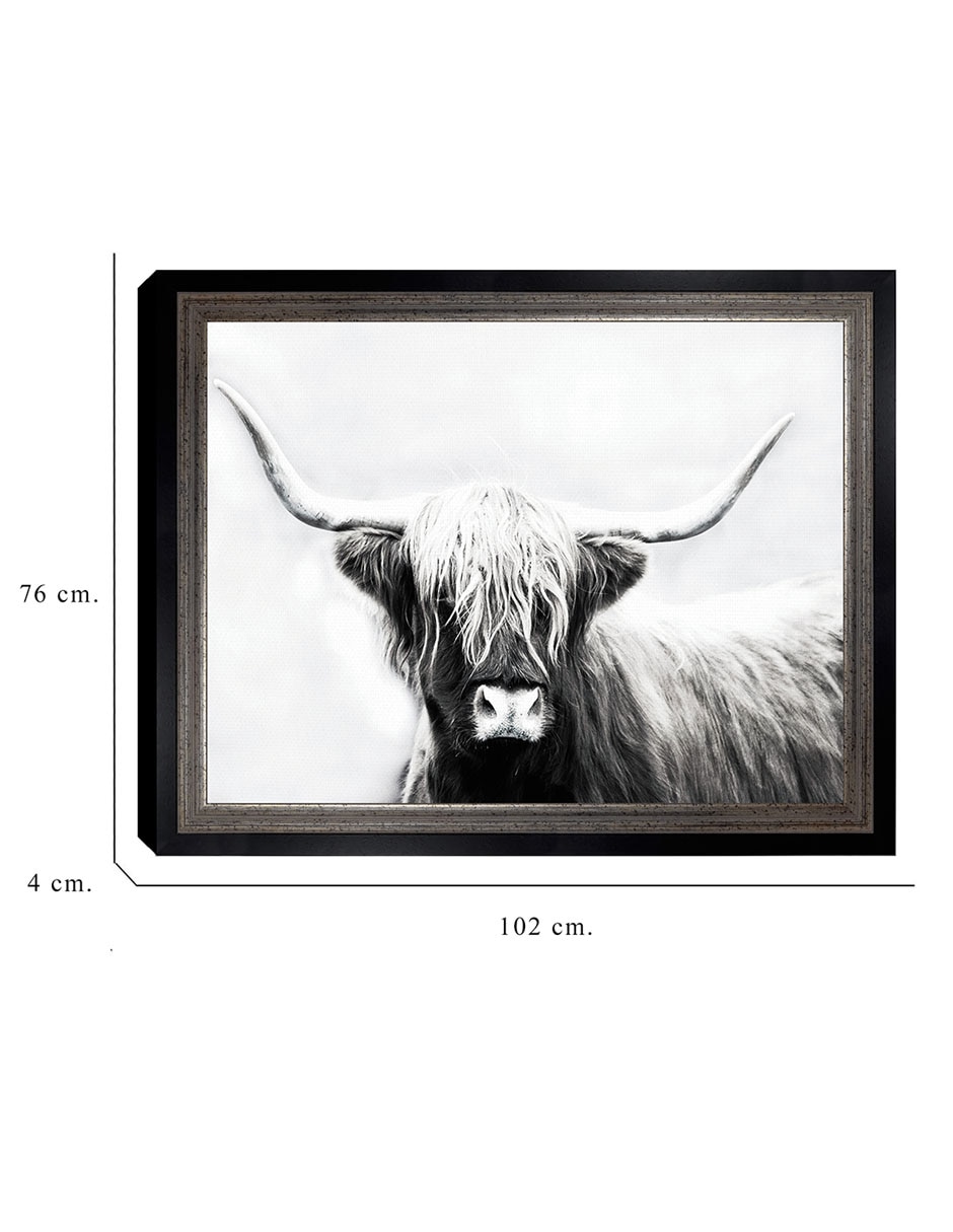 Cuadro decorativo Longhorn de las tierras altas de Danita Delimont técnica mixta 2