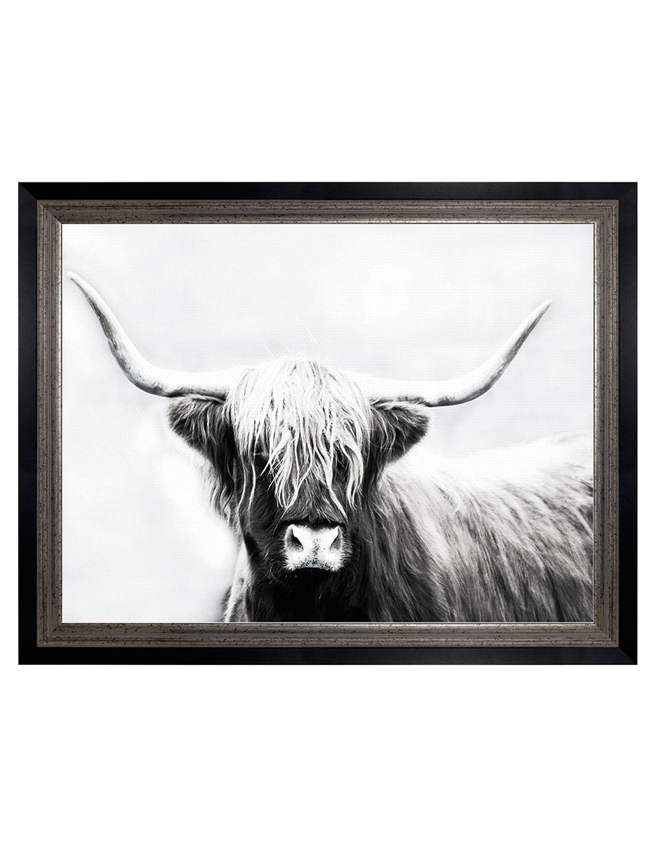 Cuadro decorativo Longhorn de las tierras altas de Danita Delimont técnica mixta