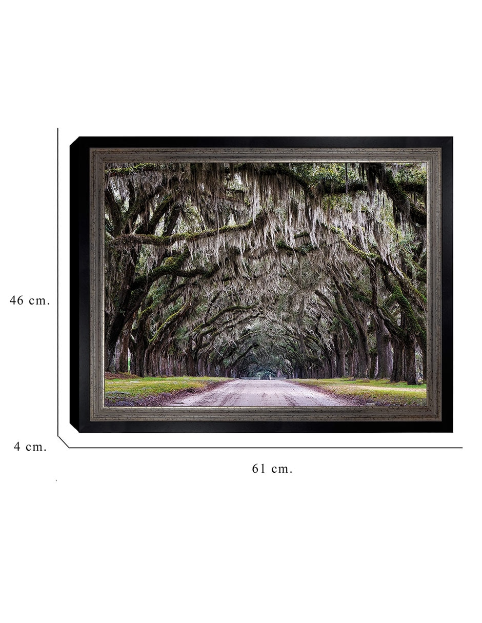 Cuadro decorativo Callejón Wormsloe de Andy Crawford técnica mixta 2