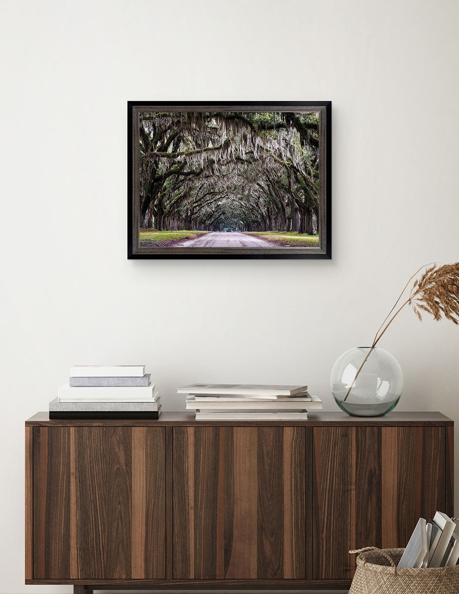 Cuadro decorativo Callejón Wormsloe de Andy Crawford técnica mixta 4