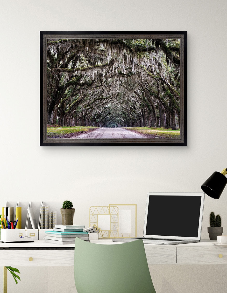 Cuadro decorativo Callejón Wormsloe de Andy Crawford técnica mixta 3
