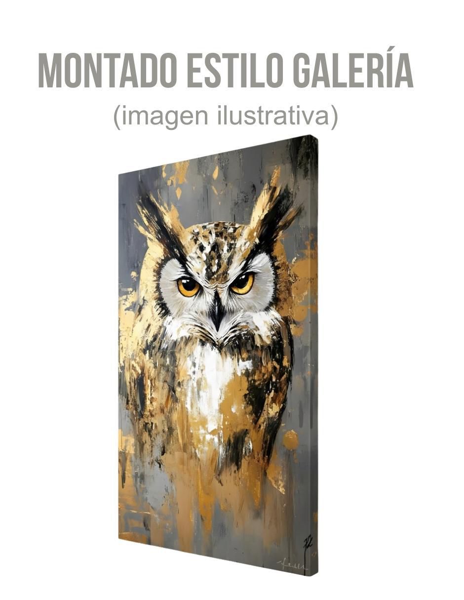 Cuadro decorativo Animal búho 11
