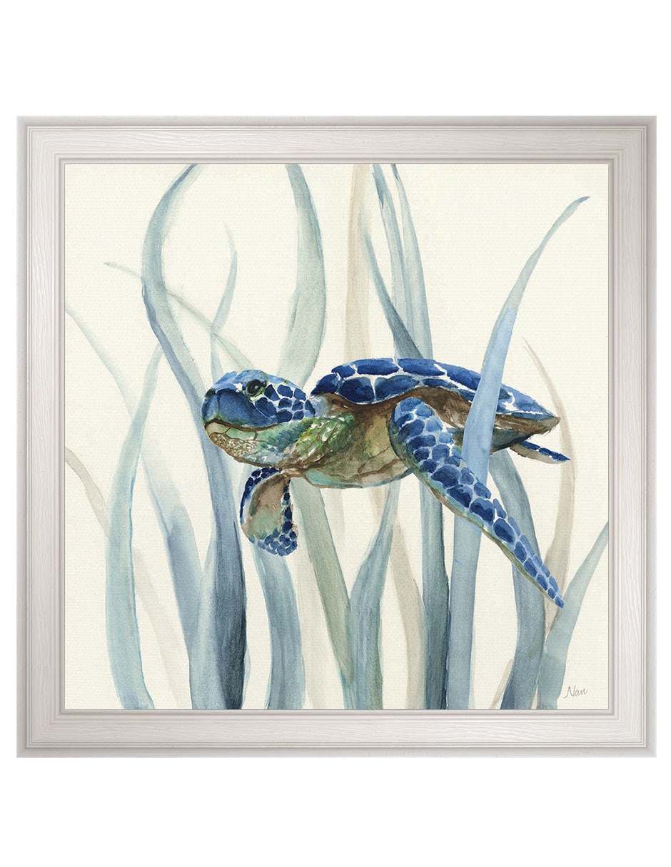Cuadro decorativo Tortuga en pasto marino II de Nan técnica mixta