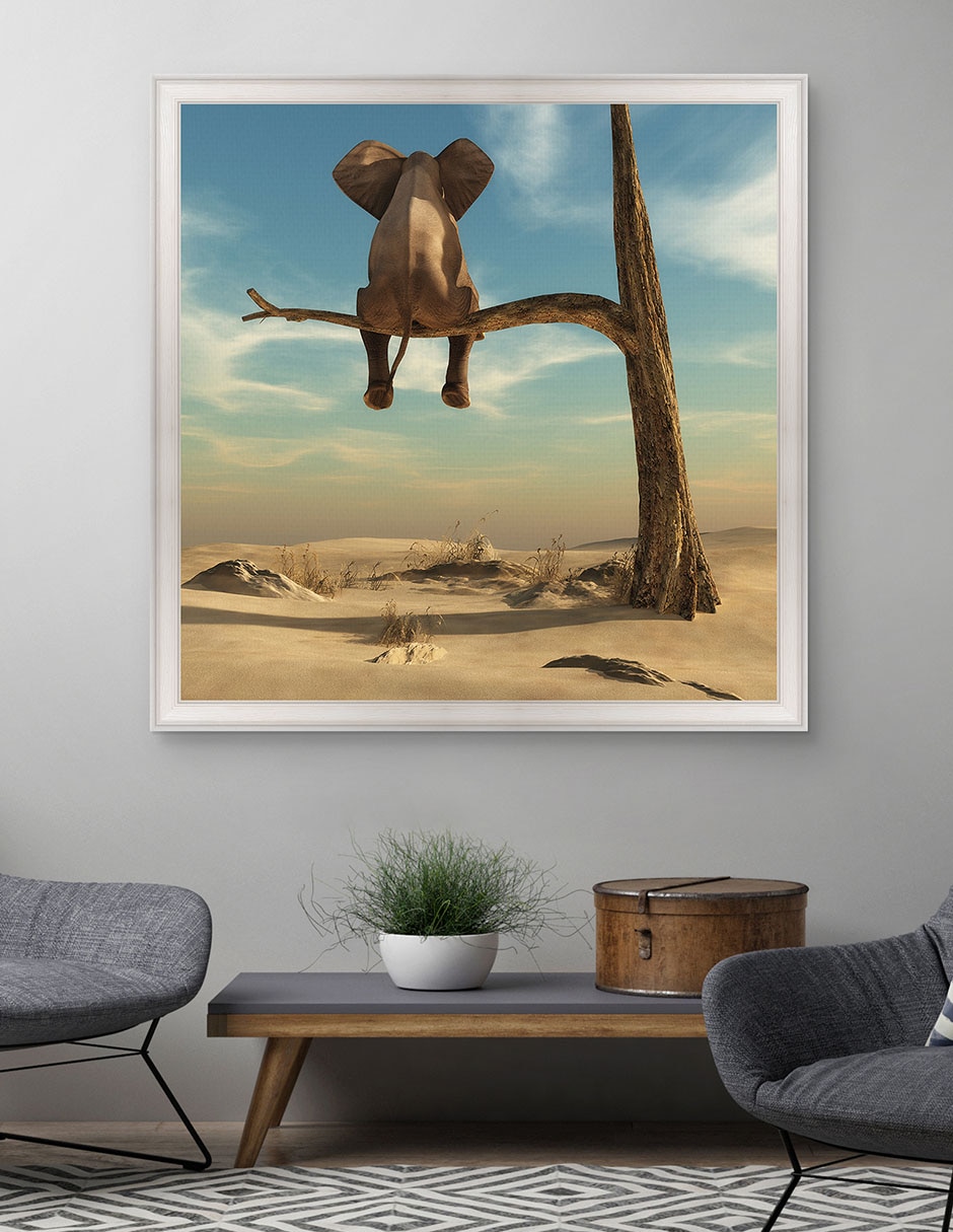 Cuadro decorativo Elefante en árbol del desierto de DP Gallery técnica mixta 4