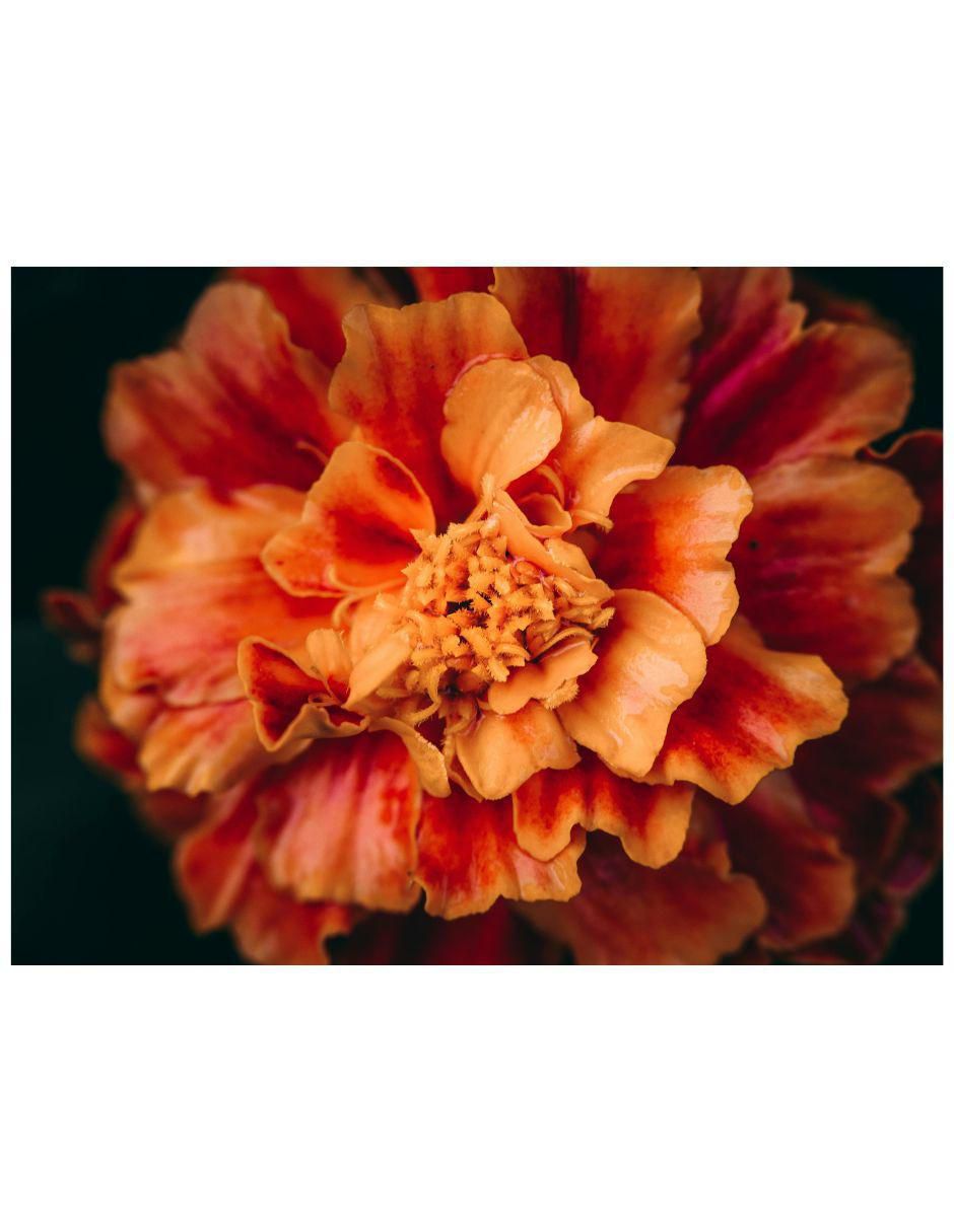 Cuadro decorativo
