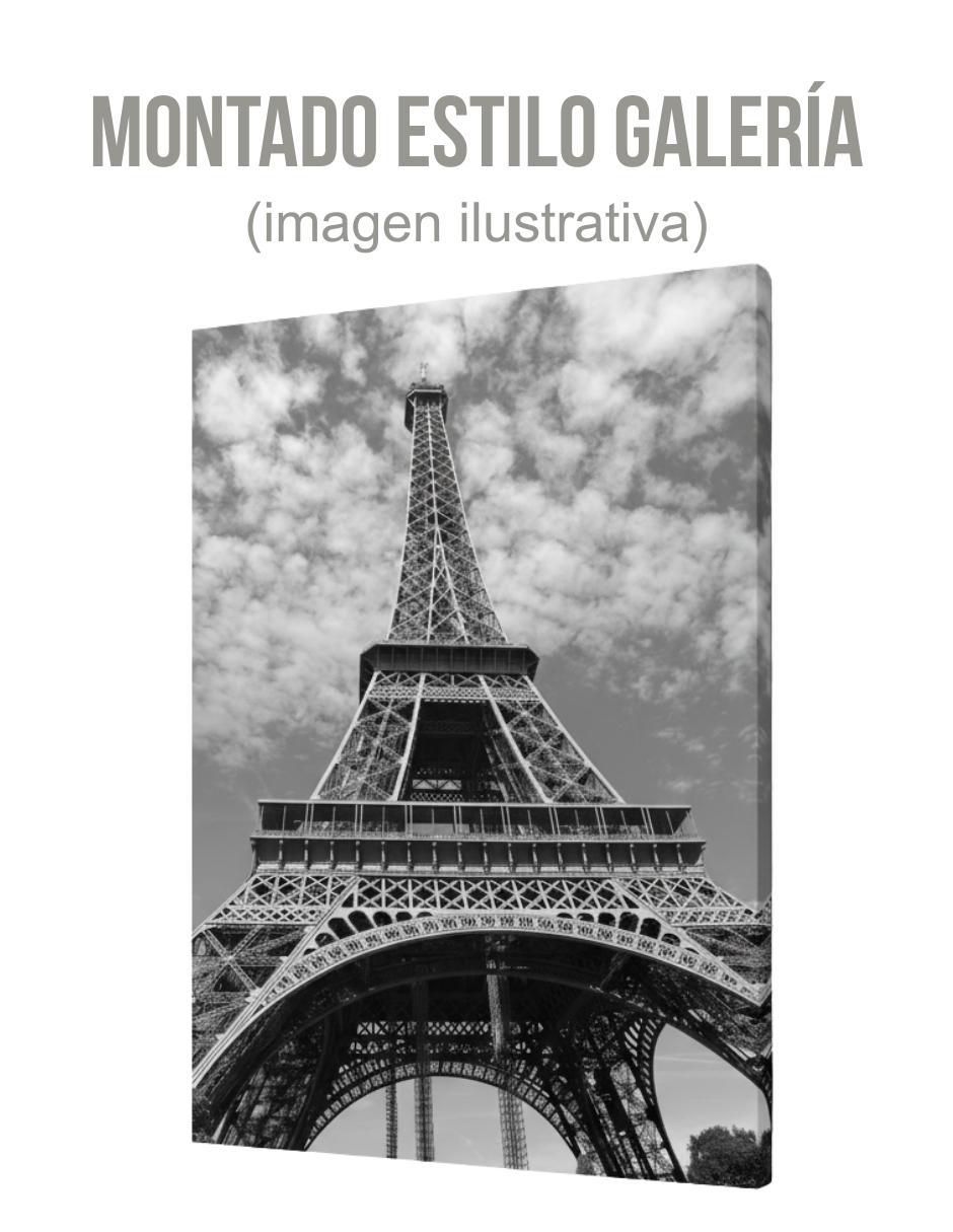 Cuadro decorativo paisaje Torre Eiffel 2