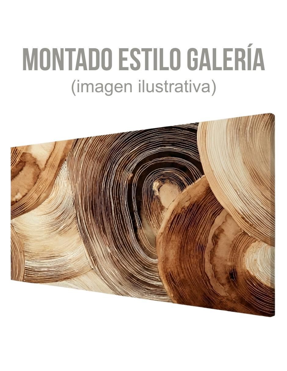 Cuadro decorativo Anillos Orgánicos 3