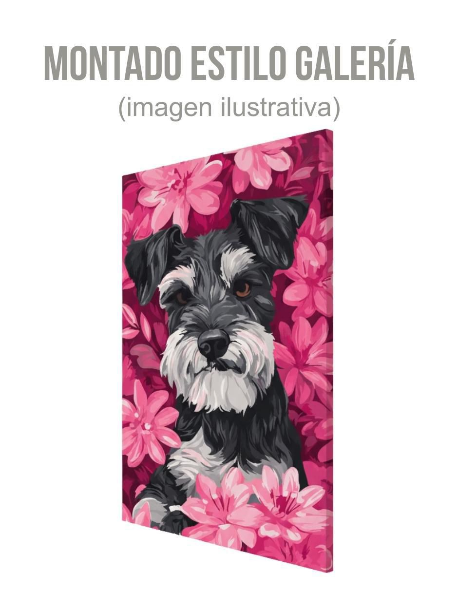 Cuadro decorativo Animal Schnauzer 3