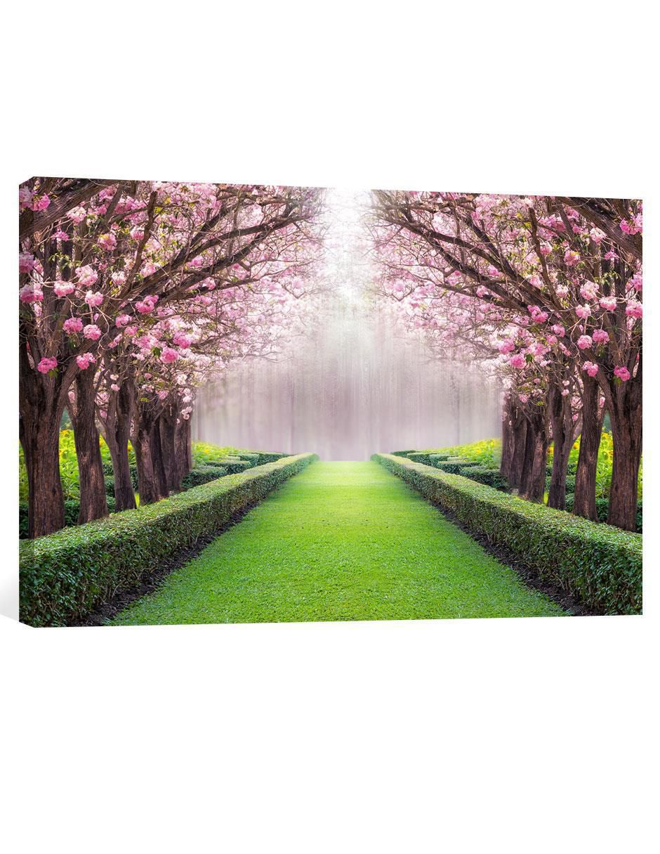 Fotografía Naturaleza