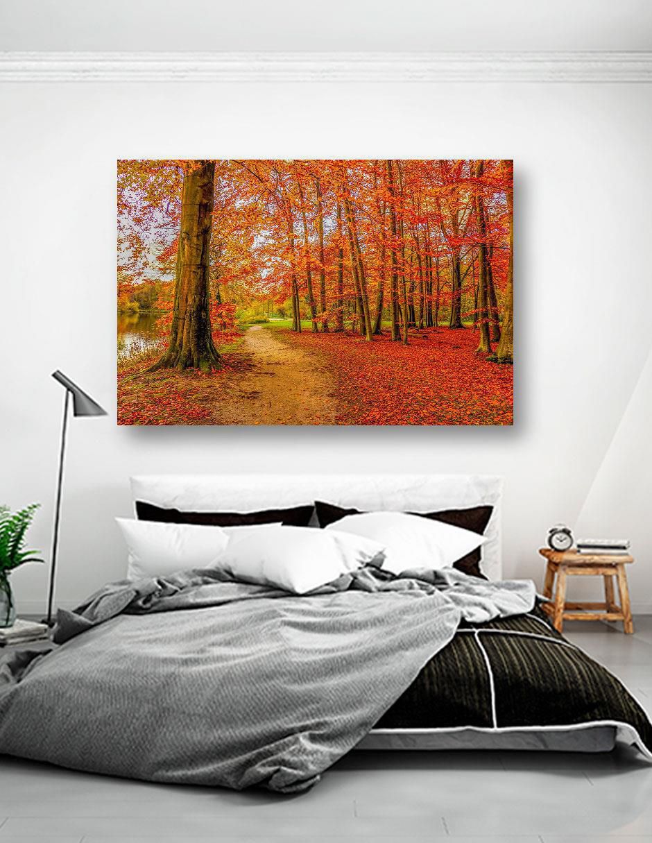 Fotografía Naturaleza 4