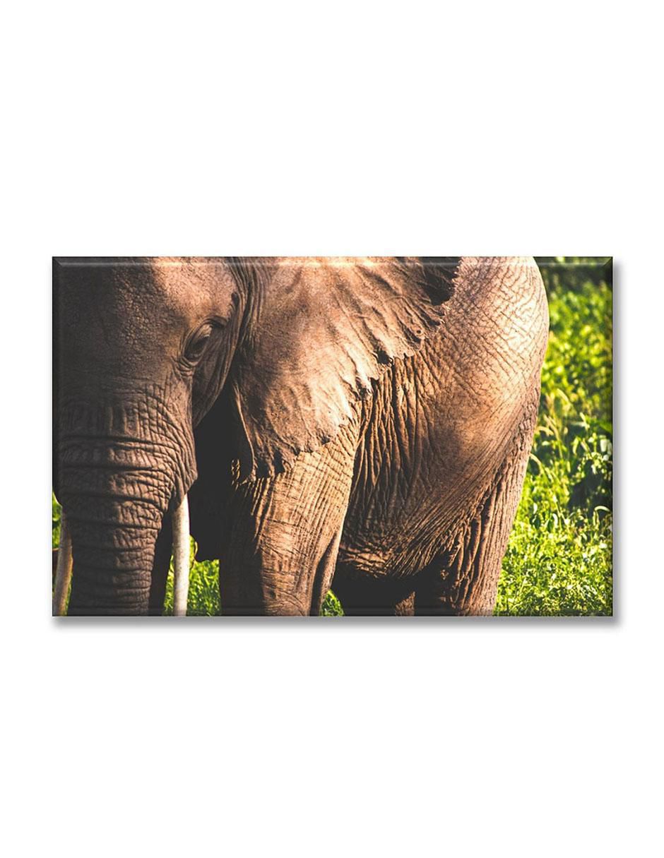 Cuadro decorativo Mirada de elefante