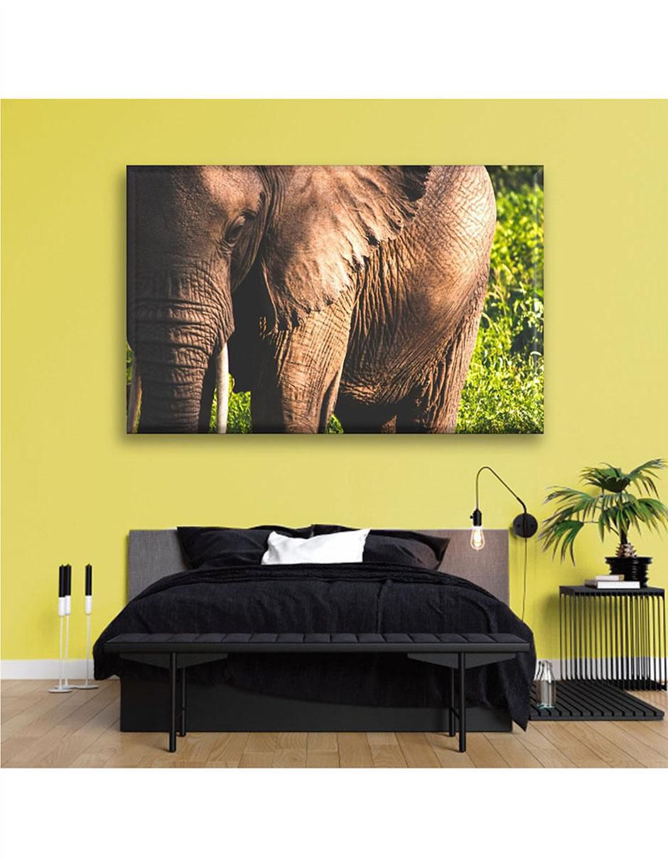 Cuadro decorativo Mirada de elefante 2