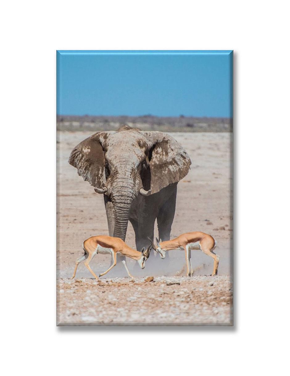 Cuadro decorativo Elefante y gacelas