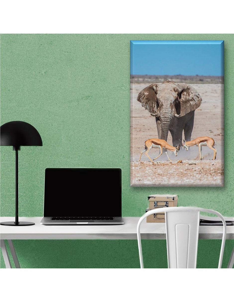 Cuadro decorativo Elefante y gacelas 2