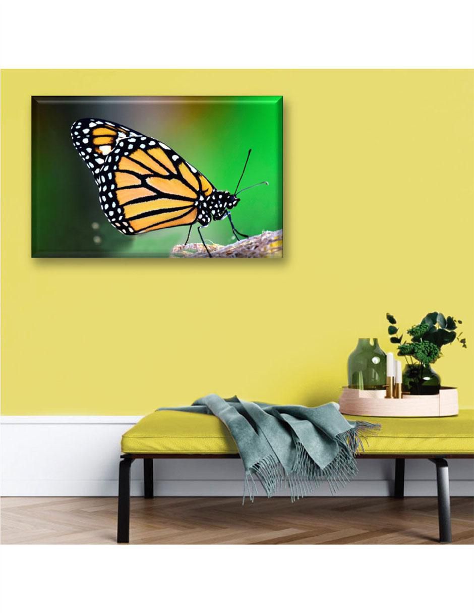 Cuadro decorativo Mariposa monarca 2