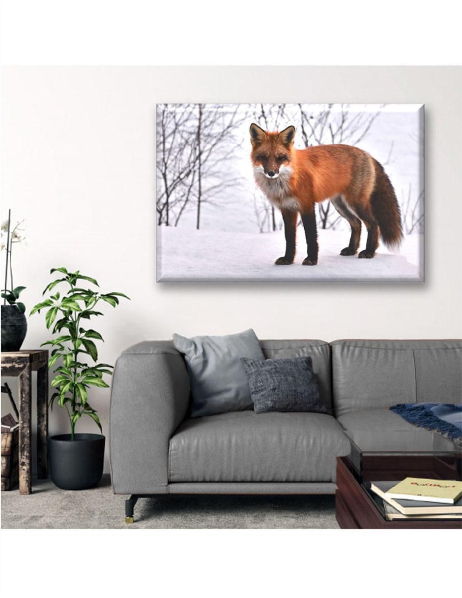 Cuadro decorativo Zorro rojo 2