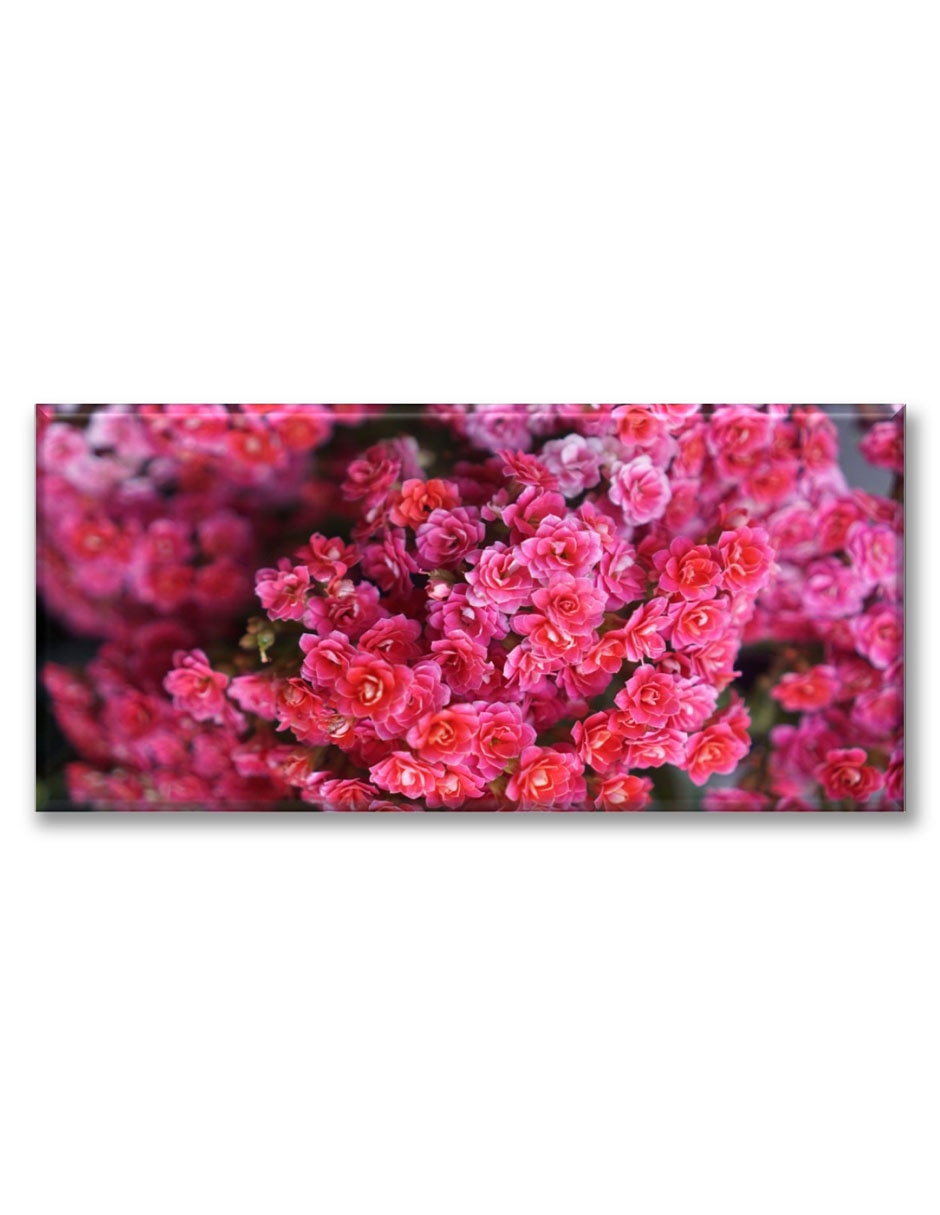 Cuadro decorativo Florecitas rosas Cuadro decorativo Florecitas rosas