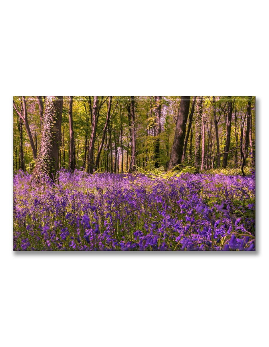 Cuadro decorativo Bosque lavanda